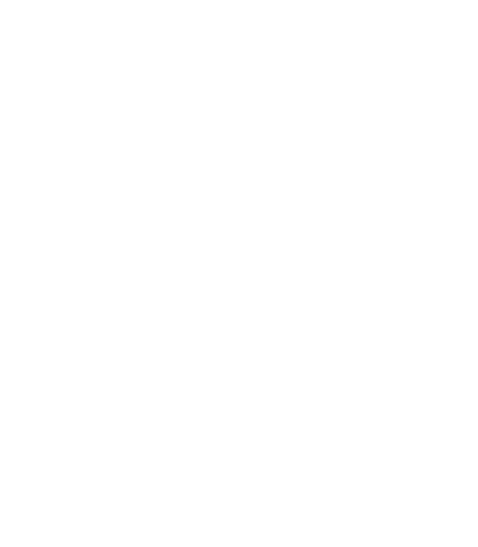 Icône blanche économique